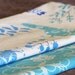Cloth Napkins - Set of 2