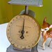 Vintage Columbia Family Kitchen Scale