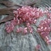 Faceted Round Czech Glass Fire Polished Beads 3mm Padparadscha Opal (100pcs)