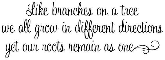 Like branches on a tree we all grow in different directions