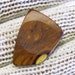 Wood Guitar Pick - Handmade Exotic Arizona Desert Ironwood Premium Guitar Pick