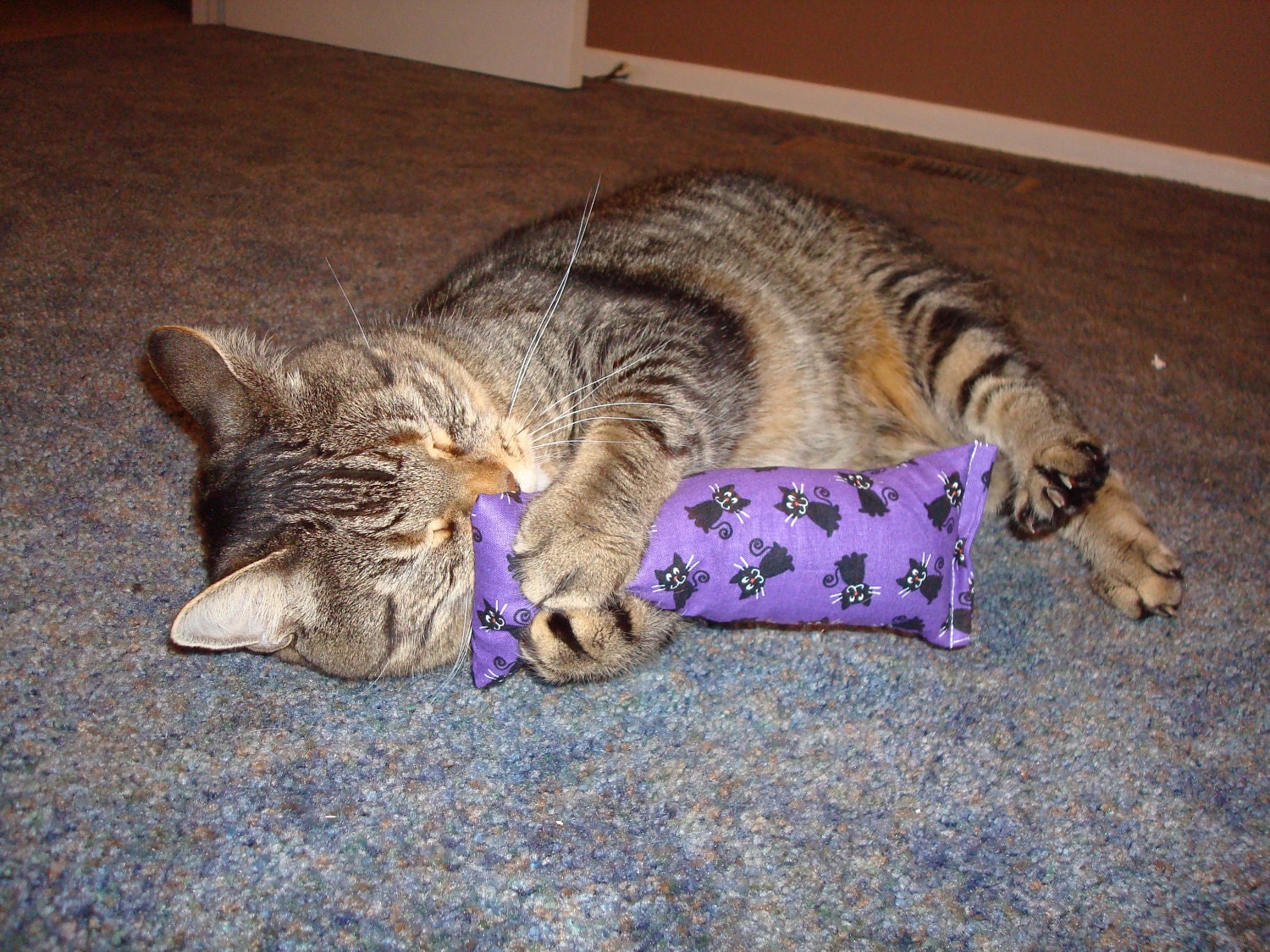 catnip body pillow