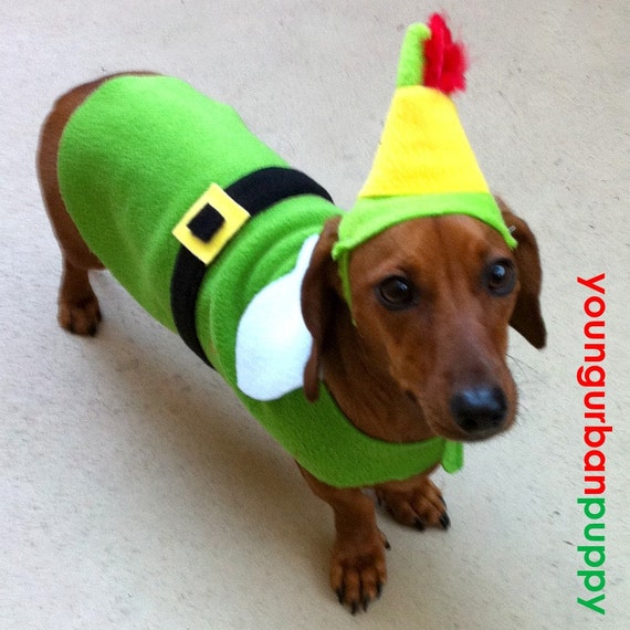 Buddy the ELF Costume for Dogs