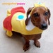 PRINCESS DAISY NINTENDO Costume for Dogs