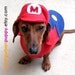 MARIO NINTENDO costume for Dogs
