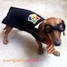 3 Piece Wizard Dog Costume