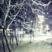 Old man winter was here - a METALLIC fine art nature photography print (8x8) BOGO SALE