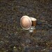 Button Ring INDIAN HEAD