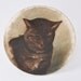 Folk Art Hand Painted Cat Plate - Primitive Antique Decorative Plate