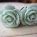 Plugs-Gauges-Mint Green Roses-10g, 8g, 6g, 4g, 2g, 0g, 00g, 1/2g, 13mm, 7/16g