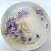 Hand Painted Porcelain Plate from Germany, Artist Signed