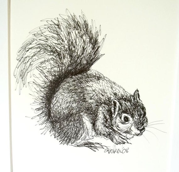 Squirrel ink illustration black & white line drawing by ArtyDidact