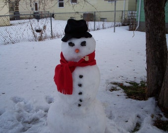 Build A Snowman kit make your own snowman