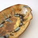 Organic Shaped Platter in Golden Ochre
