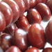 Jasper Beads 8 x 4mm Smooth Polished Burgundy Red Flower Jasper Rondelles - 20 Pieces