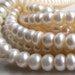Pearl Beads 8 x 5mm Lustrous Snow White Freshwater Rondelles - 8 inch Strand