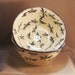 Stoneware Pottery Dragonfly Serving Bowl 12DFBOWL1