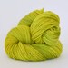 CHARTREUSE ... BFL DK, hand dyed yarn