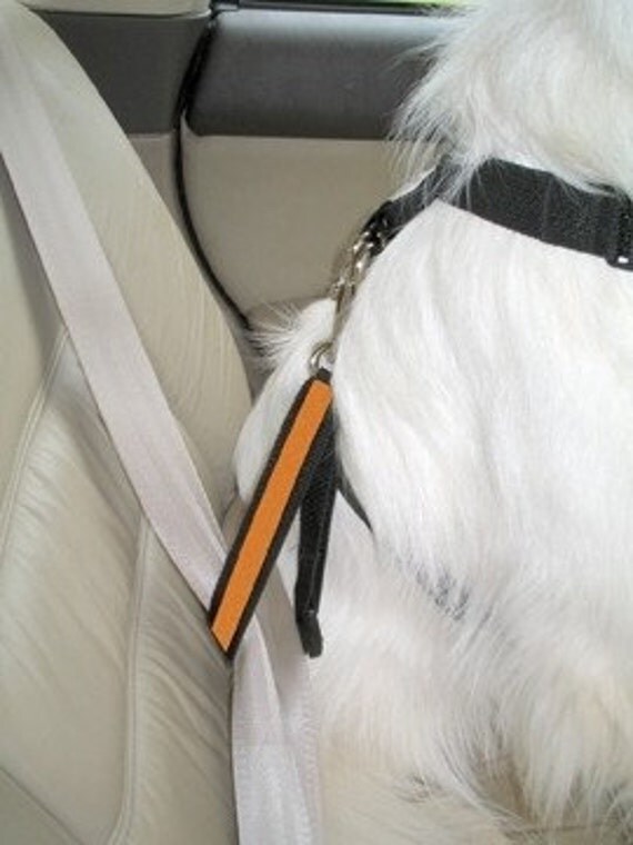 harness car seat belt attachment