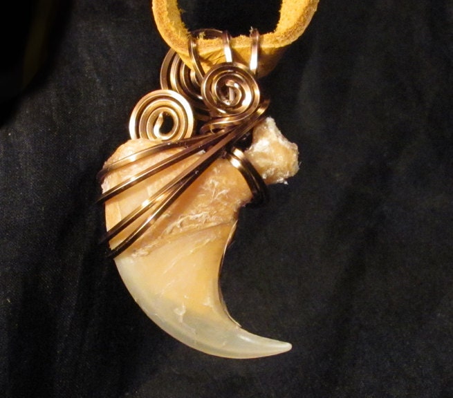 Lions Paw Real Wire Wrapped Mountain Lion Claw Pendant