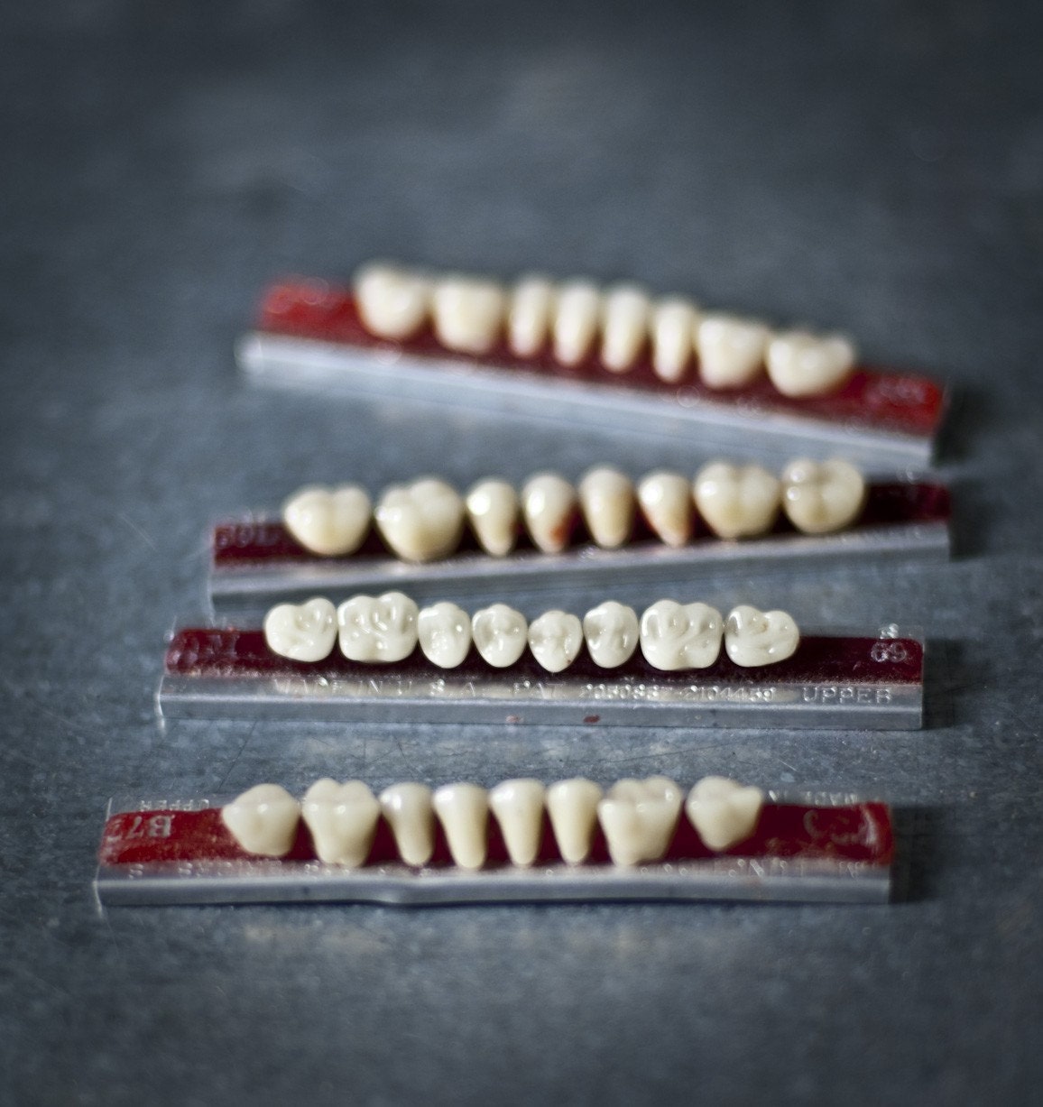 Vintage Denture/Teeth Models