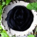 Glossy Deep Black Mohair Top Roving