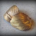 Solid Raw Brass Curled Leaf Stamping (2) Patina, Nature, Boho