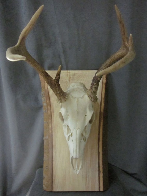 Rustic Natural Edged Wooden European Mounting Board/Plaque