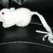 Knitted White PEW (Pink Eyed White) Gerbil