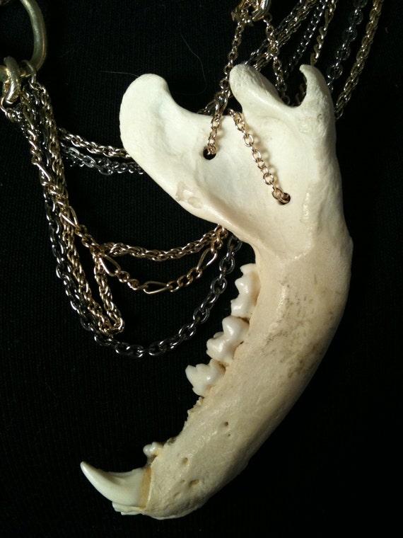 RACCOON JAW BONE CHAIN NECKLACE