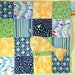 little fish and bubbles appliqued LOVEY CUDDLE QUILT