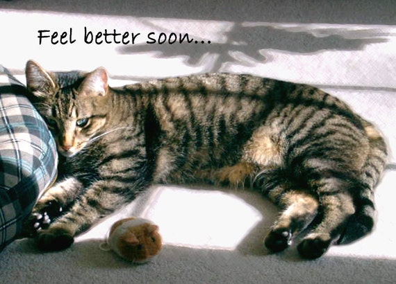 Items similar to Feel better soon card - Get well soon cat greeting