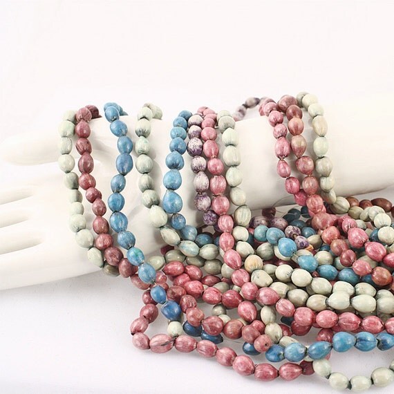 Jobs Tears Beads 12 oz Lot Colorful Wild Grass Bead