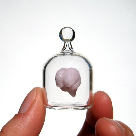 Brain in a Jar, Hand Blown Glass Miniature, Anatomically Correct Brain
