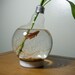 Large Lightbulb Fishbowl