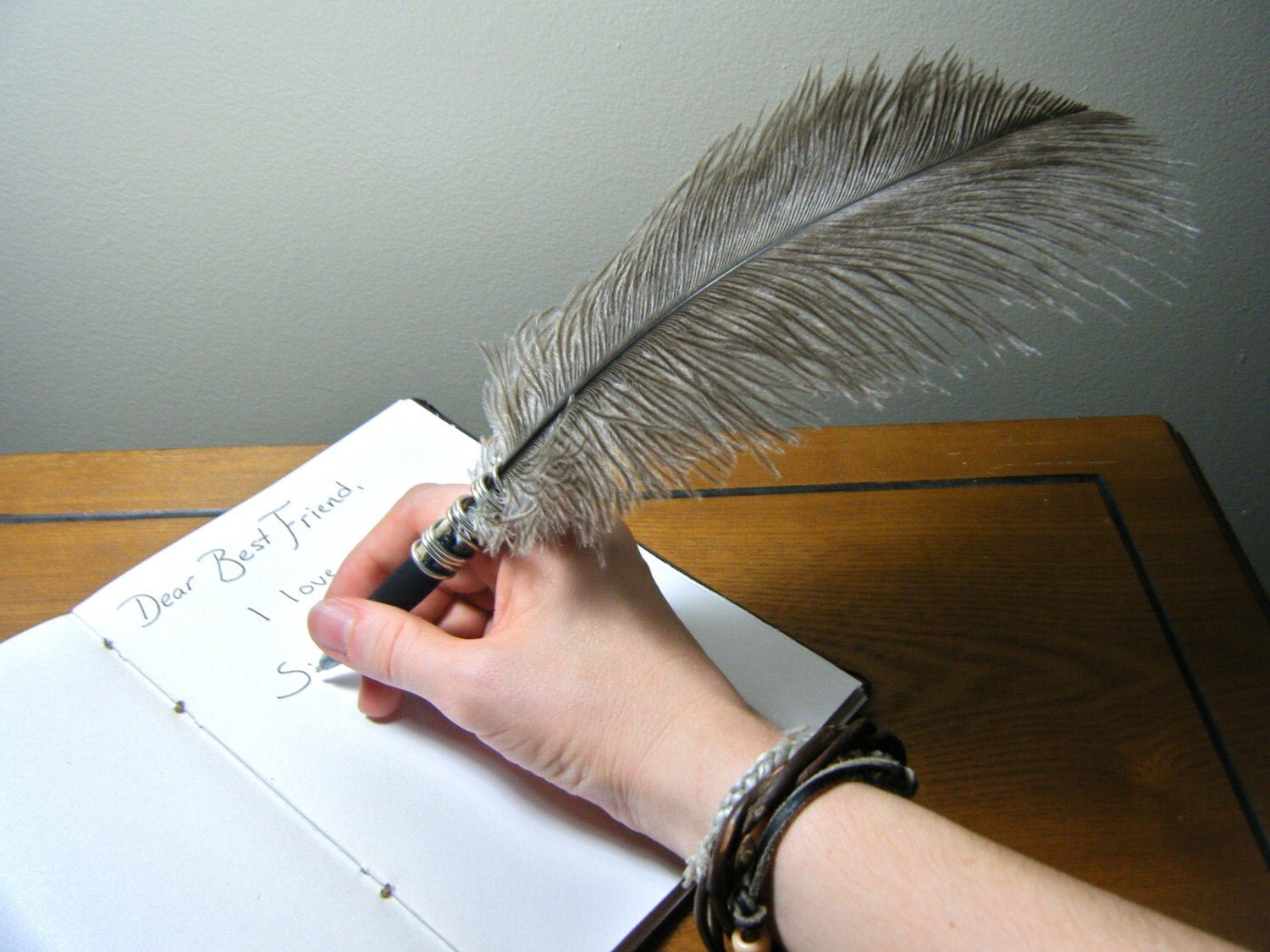 feather-pen-the-cookie-duster-ostrich