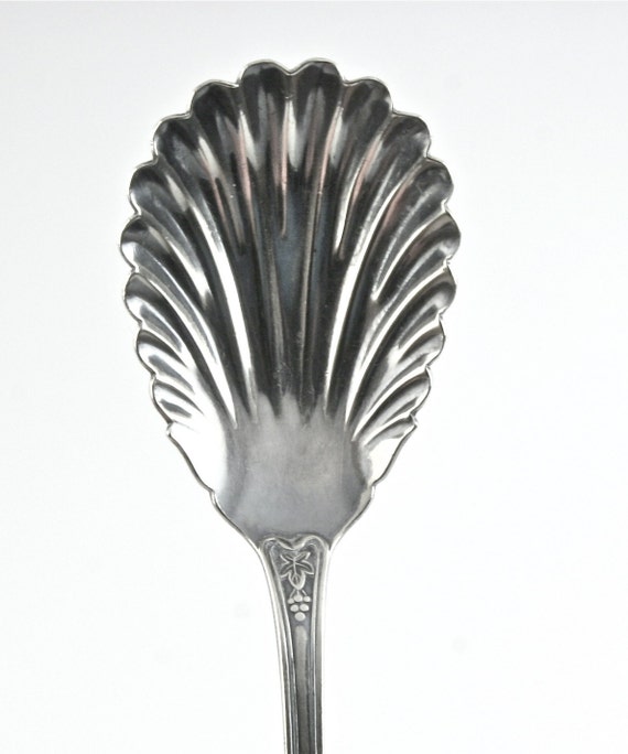 Sugar Shell Spoon 1847 Rogers Bros Silver Flatware