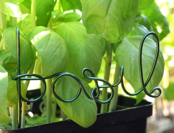 Basil wire word garden / vegetable marker