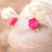 itty bitty rosies clippie set-choose your color