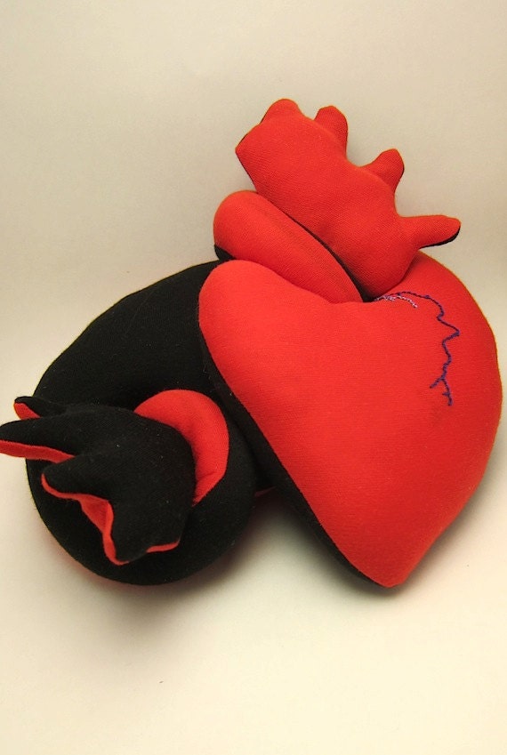 stuffed anatomical heart