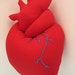 stuffed anatomical heart