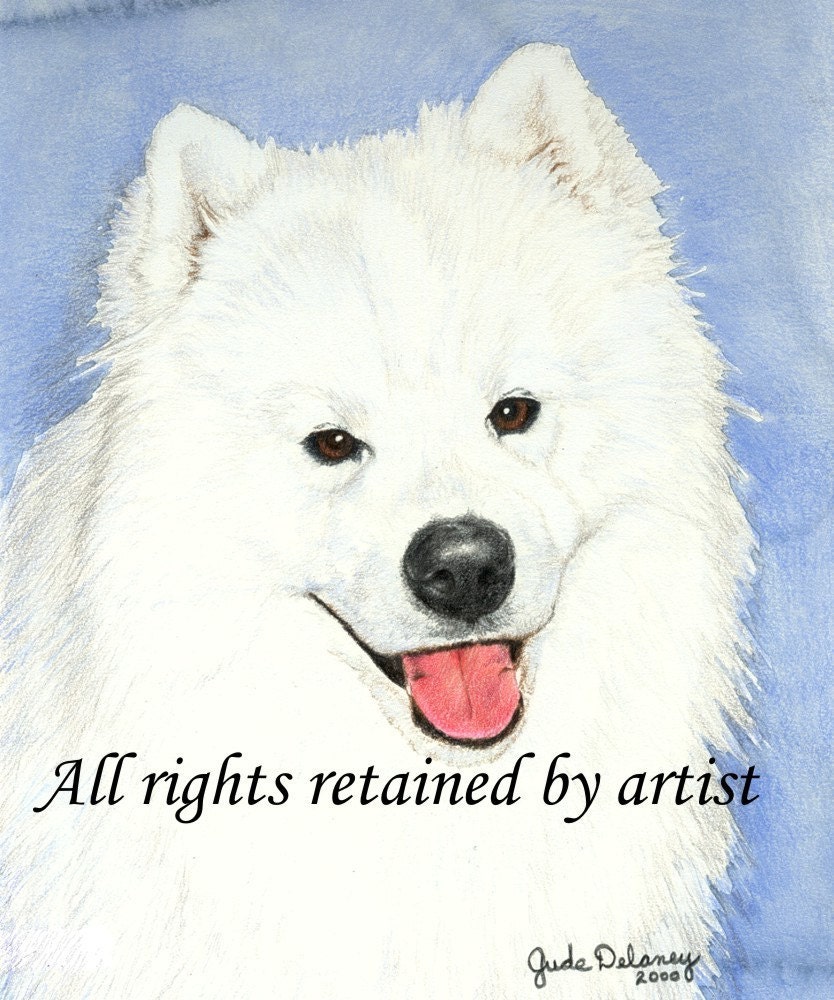 Samoyed Art Reproduction Print Graff by Jude