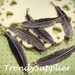 6 pcs Antique Brass Feather Connector, Nickel Free