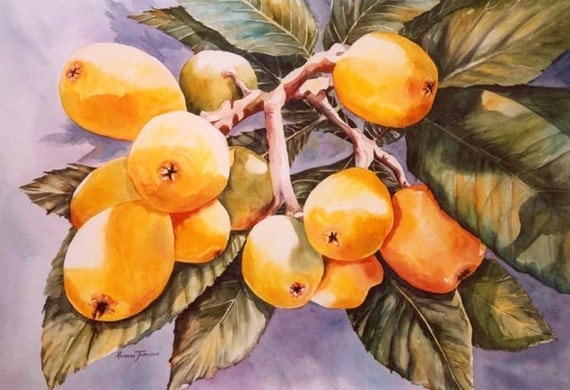 Loquats, Japanese Plums, 11 x 15, Watercolor, Print, Fruit, Home Decor, Decorative art, yellow, tropical