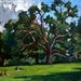 Oil Painting Landscape, Tanglewood Saturday. Small Original Oil on Canvas, Impressionist Sketch