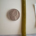 1 yd. 29" vintage velvet ribbon in golden moss(163) from Switzerland 1/4", more avail.