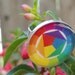 Large Adjustable Sterling Silver Plated Color Wheel Ring