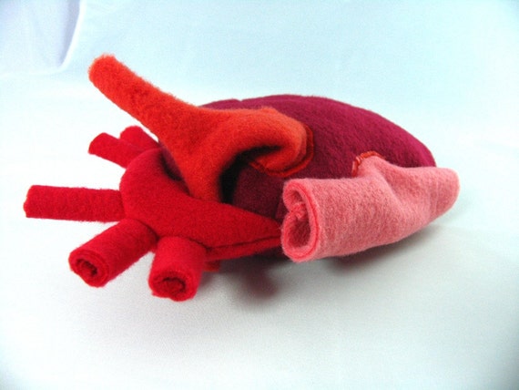 anatomical heart stuffed toy