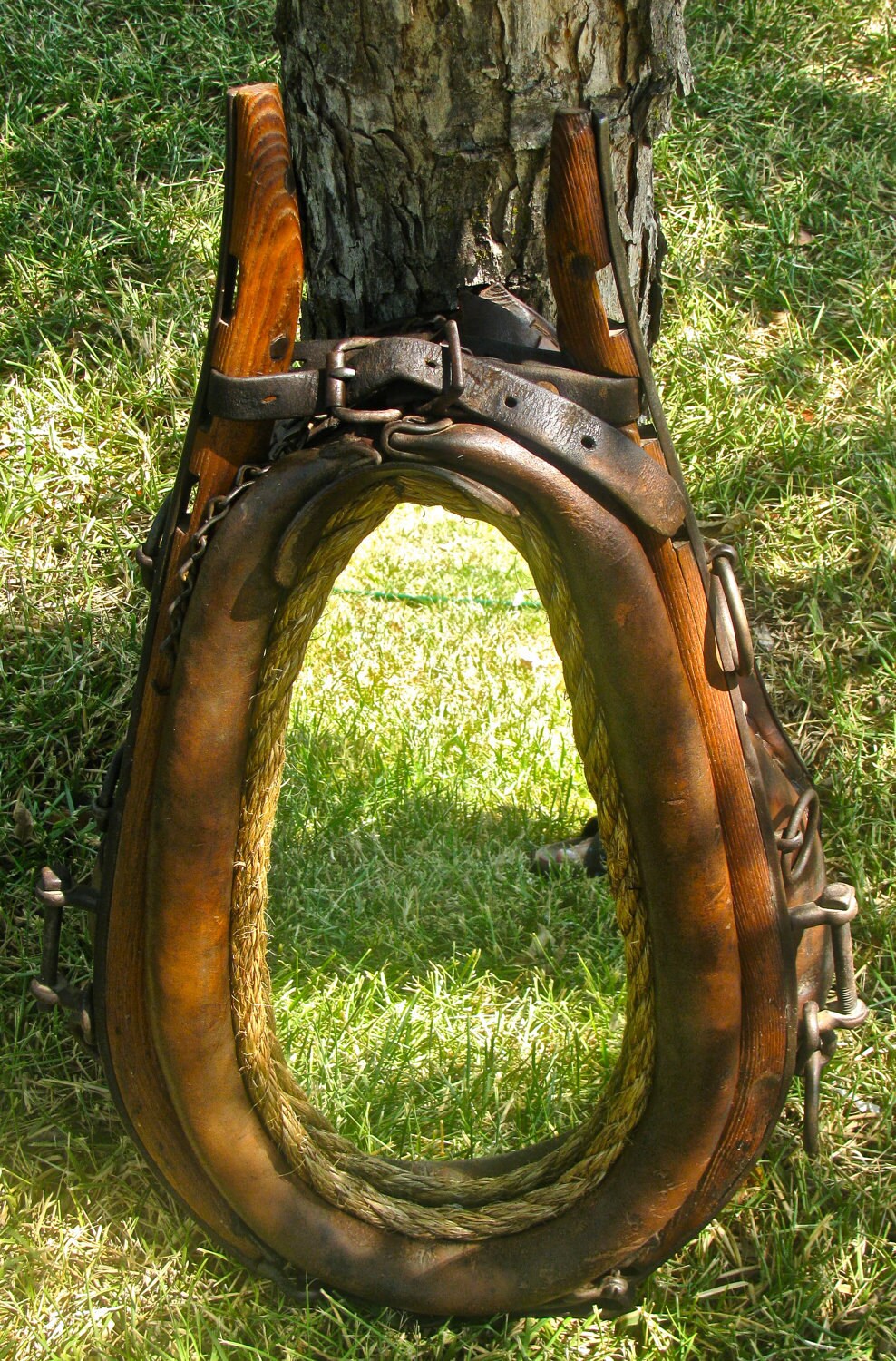 Antique Western Horse Collar Mirror with Wood Hames