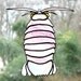 Giant Isopod Stained Glass Suncatcher